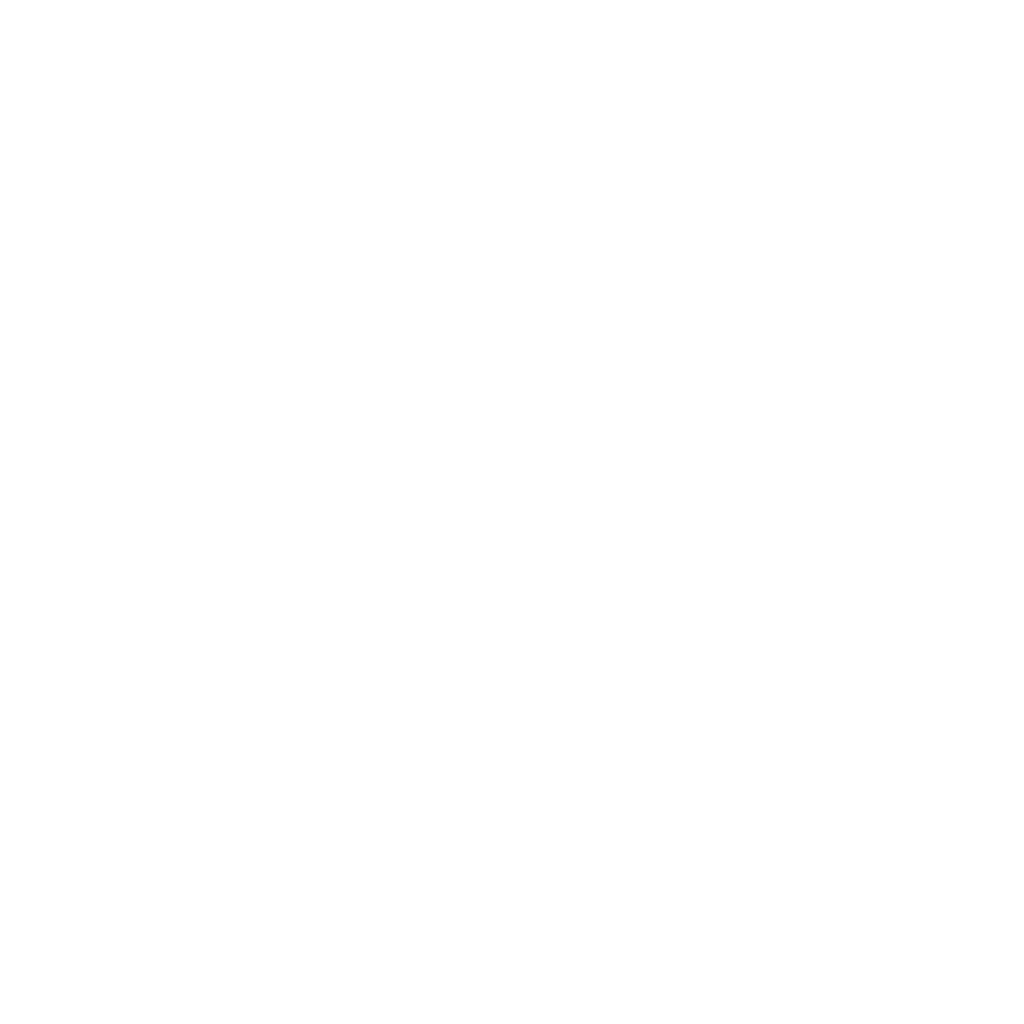 IBEX DATA Logo